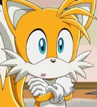 Tails The Fox