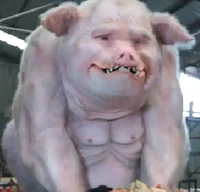 Pig man