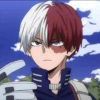 Shoto Todoroki
