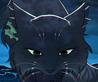 Hollyleaf
