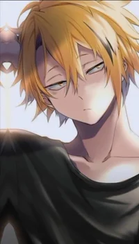 KAMINARI DENKI 