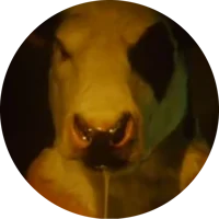 Cow Head