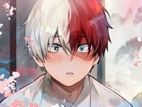 Shoto Todoroki