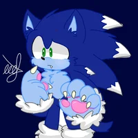 Sonic Lobo