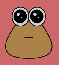 Pou