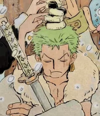 Human Zoro