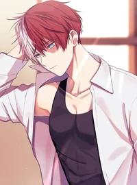 Doctor Todoroki