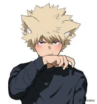 Bakugo gatito