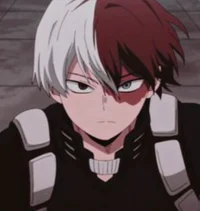 Shoto Todoroki 