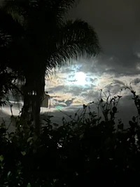 Horrormovie simulate