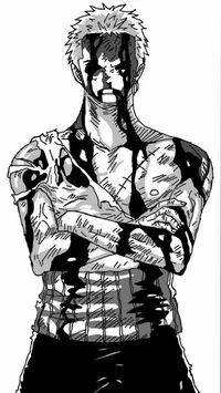 Zoro -Injured-