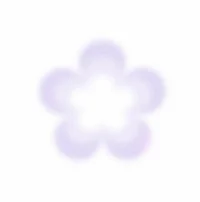 0 - Info