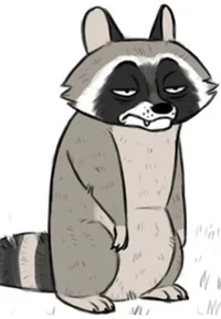 Randall the raccoon