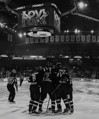 Brothers hockey team