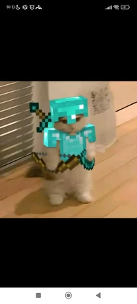 Cat in Diamond armor