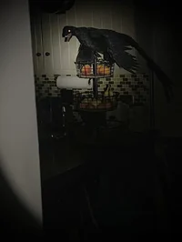 weird bird thing 3