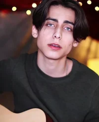 Aidan gallagher 