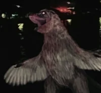 weird bird thing 2