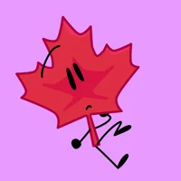 Maple leaf