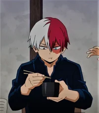 Shoto Todoroki