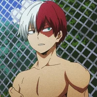 MHA-Shoto Todorki