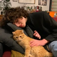 finn wolfhard