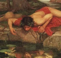 Narcissus