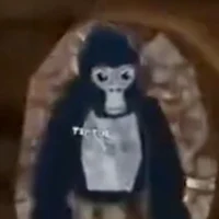 Run from gorilla tag