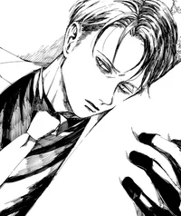 Levi ackerman 