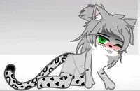 Snow Leopard Domi