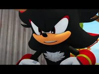 shadow x hedgehog