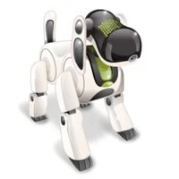 Ricky the Aibo 