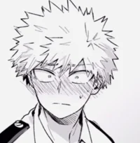 Katsuki Bakugou 