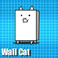 wall cat