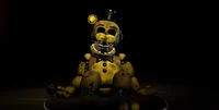 Golden freddy