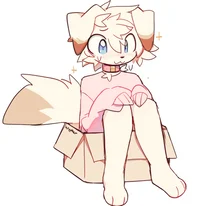 Sockassin