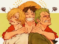 Luffy Sanji and Zoro