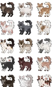 Warrior cats ocs