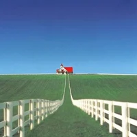 weirdcore -I feel it