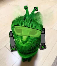 supra alien cat
