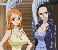 Robin and Nami