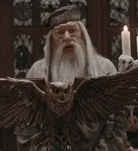 Albus dumbeldore