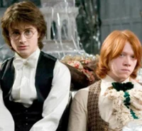 Harry and Ron