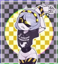 Serial Designation V