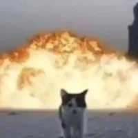 Piecefire Cat