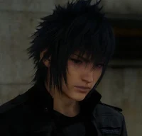 Noctis Lucis Caelum