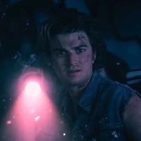 steve harrington lis