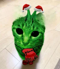holiday alien cat