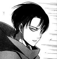 AOT Levi Ackerman