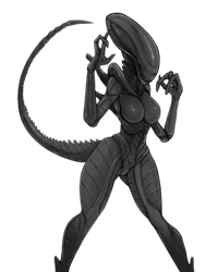 Female Xenomorph